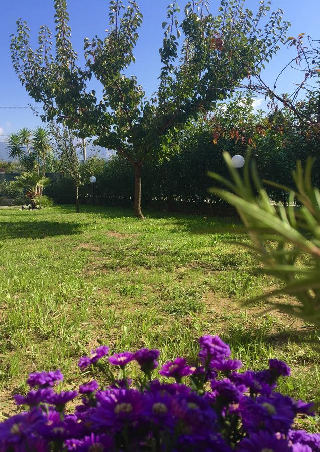 Bba2Passi Bed & Breakfast Marina di Massa Dış mekan fotoğraf